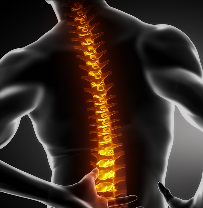 Illustration of spine with glowing highlights